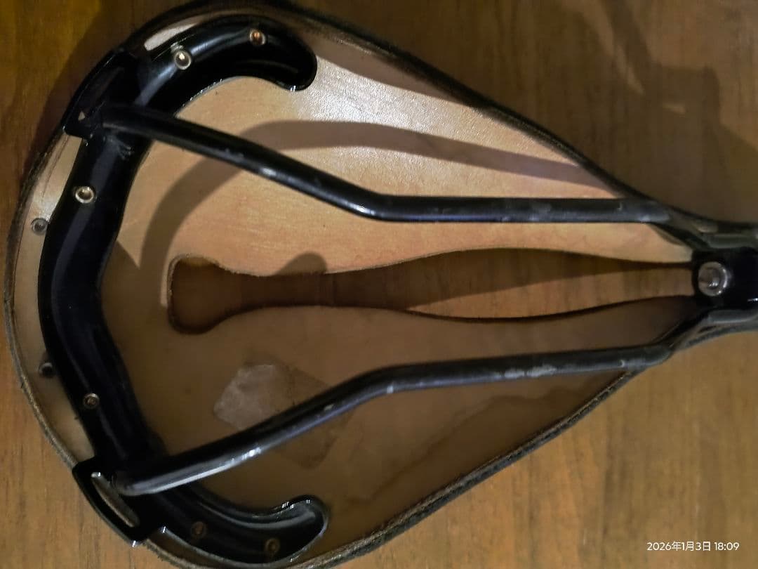 SELLE ANATOMICA (セラアナトミカ) T1 WaterShed