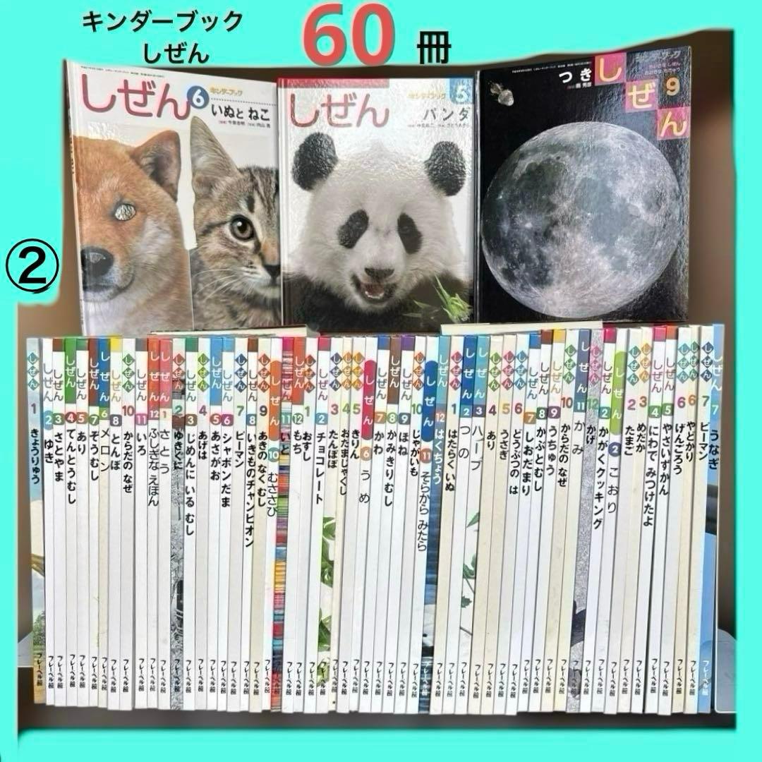 しぜん　絵本　キンダーブック　60冊　セット　まとめて　②