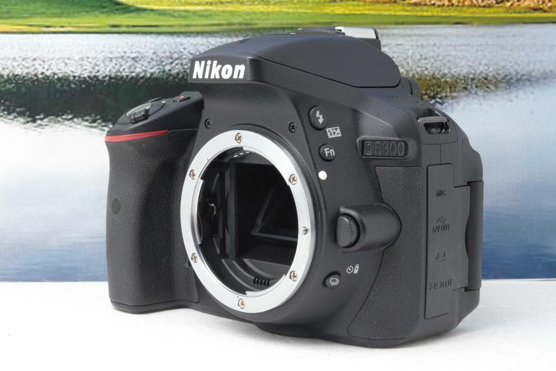 Nikon D5300 新品同様美品 Wi-Fi搭載機種 レンズセット