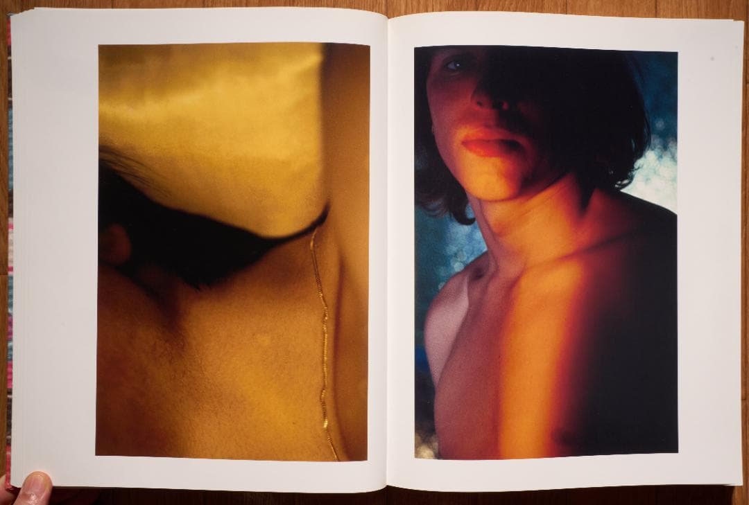 アート・デザイン・音楽 Walter Pfeiffer : In Love With Beauty