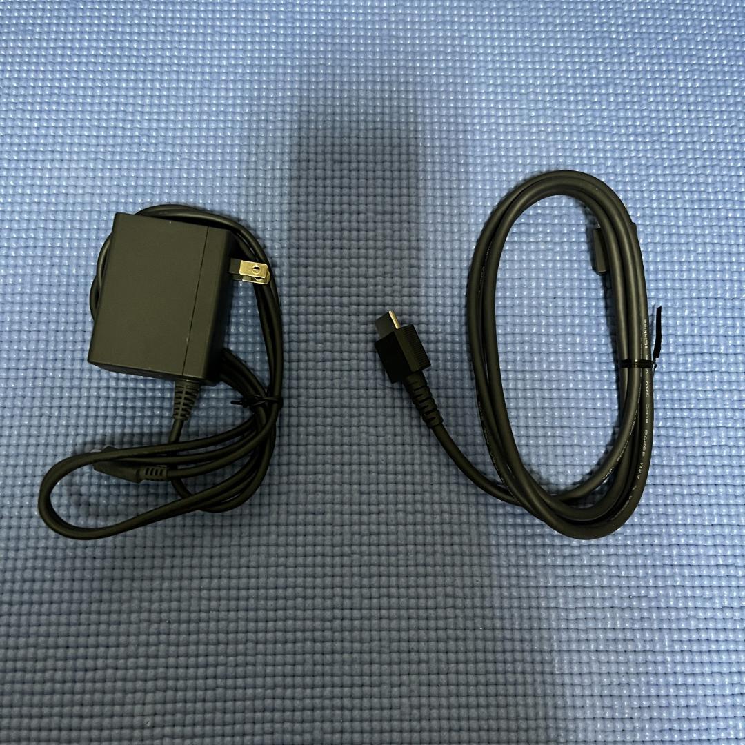 Nintendo Switch あつまれどうぶつの森モデル