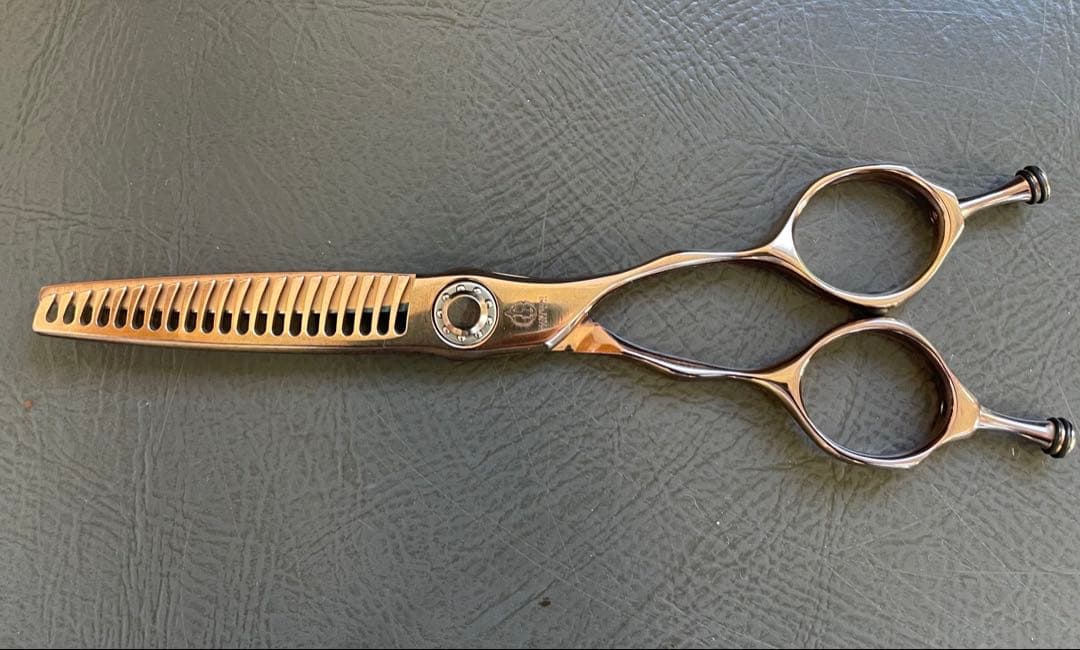 ミズタニシザーエレメント