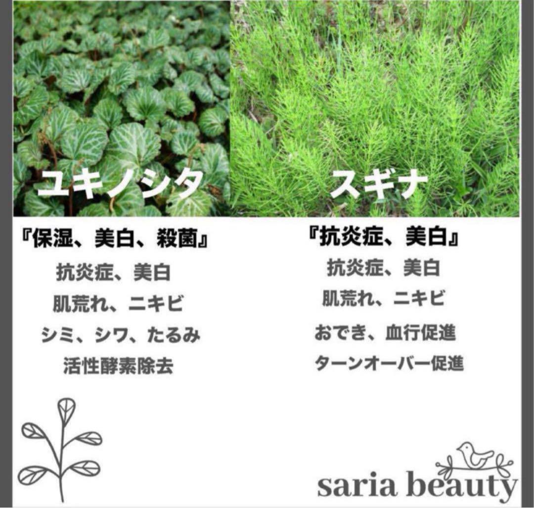 ハーブピーリング　剥離あり　業務用　和漢　オーガニック　新品未開封