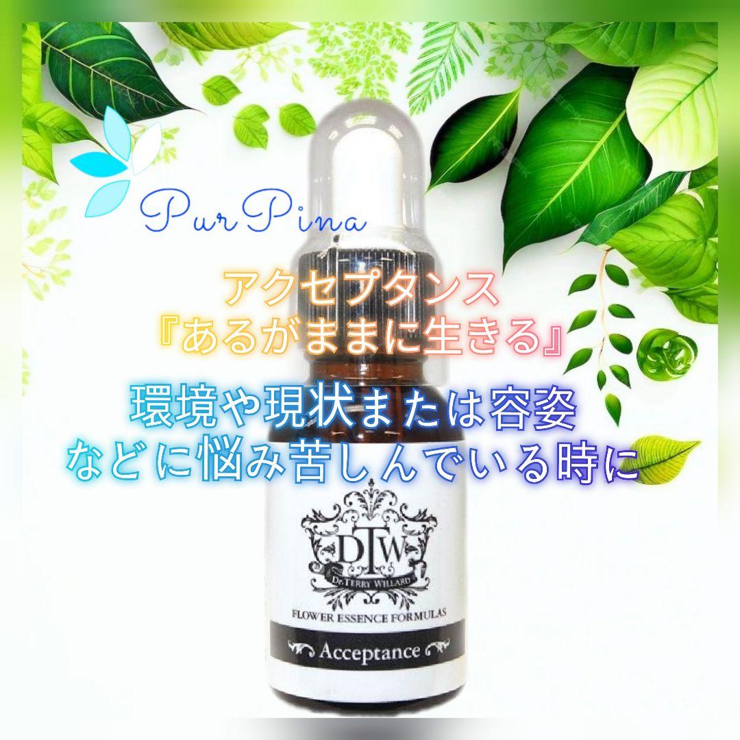 専用】サイキックプロテクションペンダント（パープル）ブッシュ　フラワーエッセンス