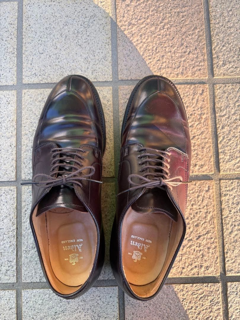 ALDEN オールデン54321 #8 バーガンディ　US 8D