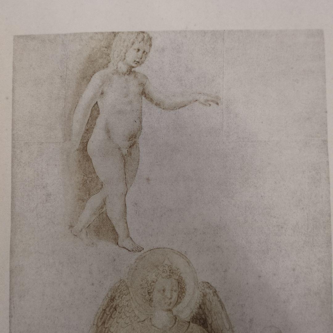 世界史的名著！ バーナード・ベレンソンのフィレンツェ派の素描 第一巻 1903