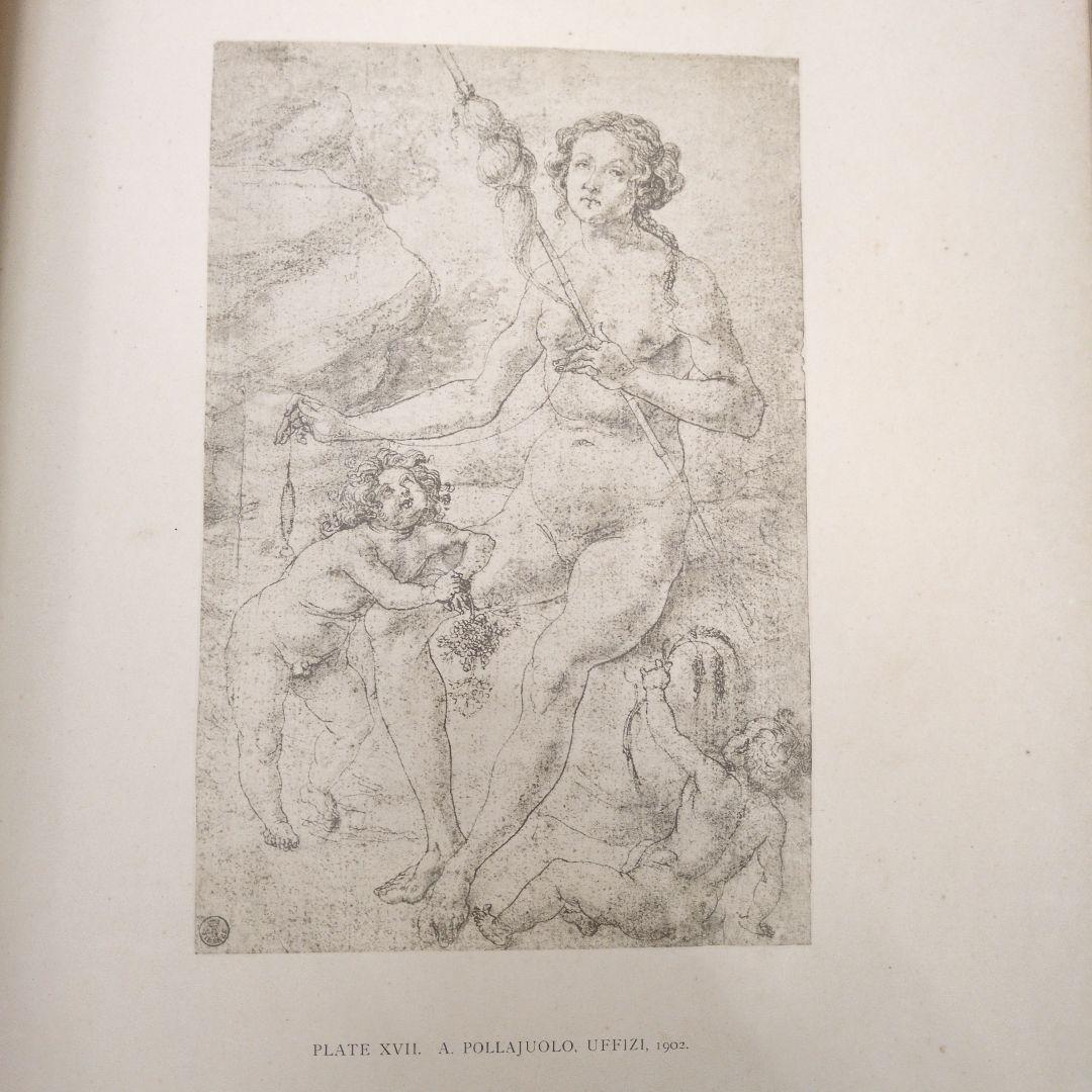 世界史的名著！ バーナード・ベレンソンのフィレンツェ派の素描 第一巻 1903