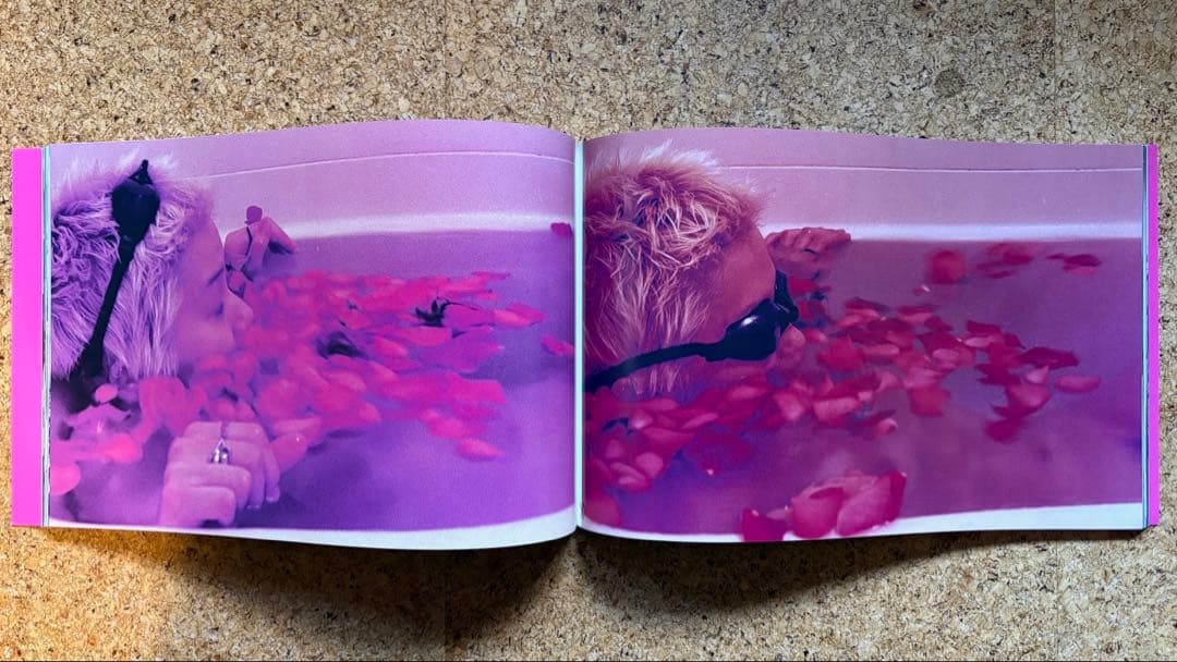 長島有里枝写真集YURIENAGASHIMA1995年初版帯付