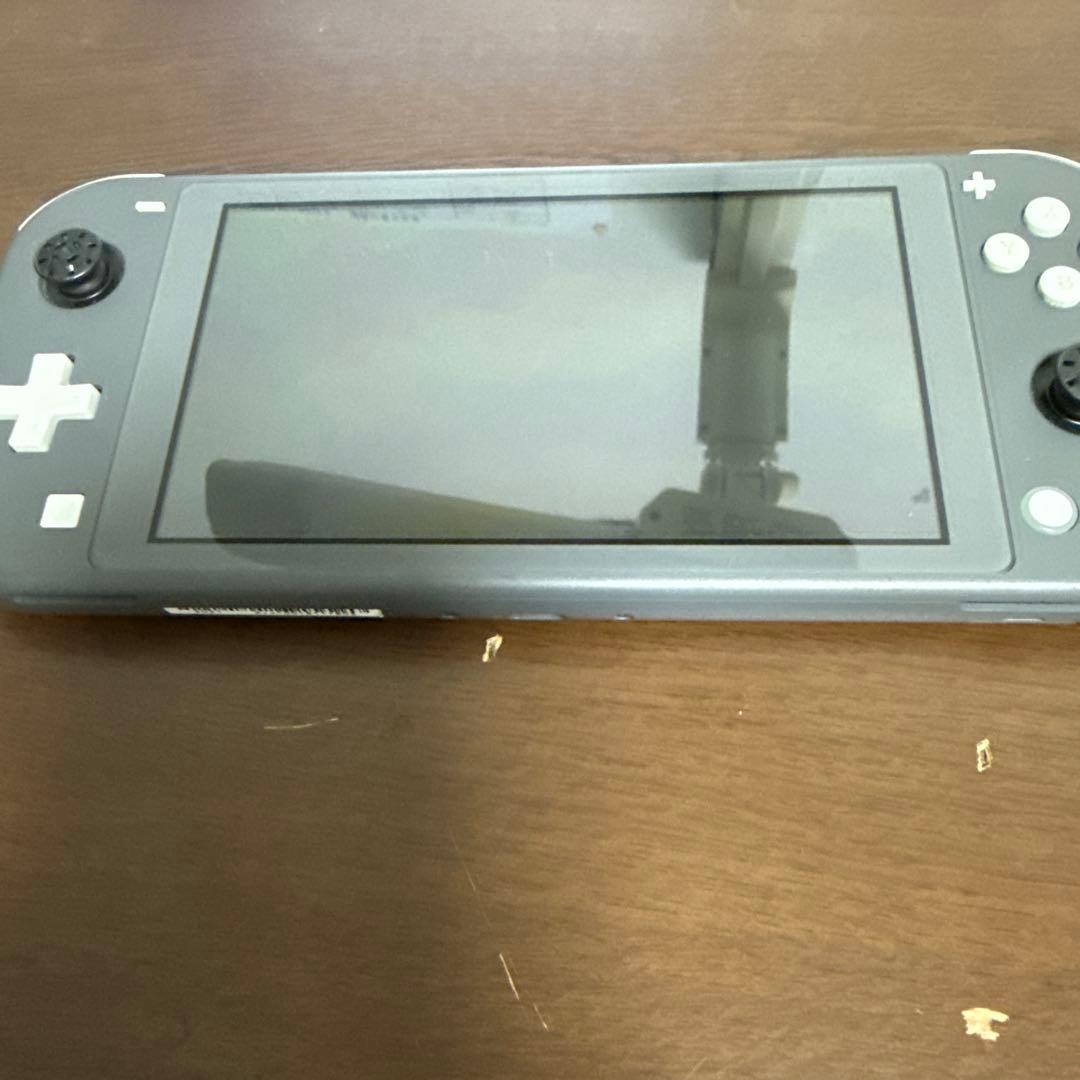 Nintendo Switch Lite グレー 本体 ケース付き