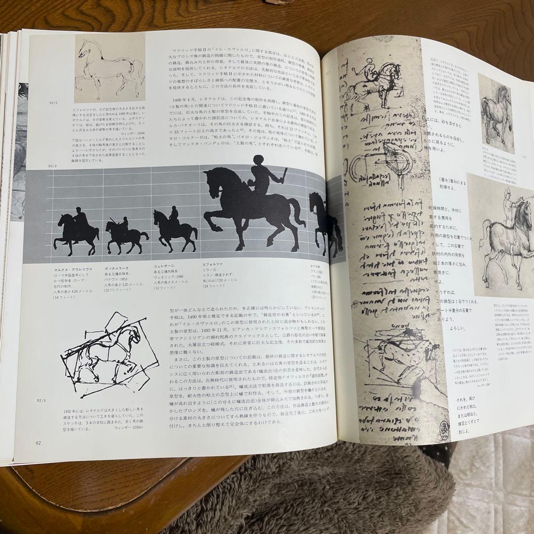 知らぜざるルオナルド