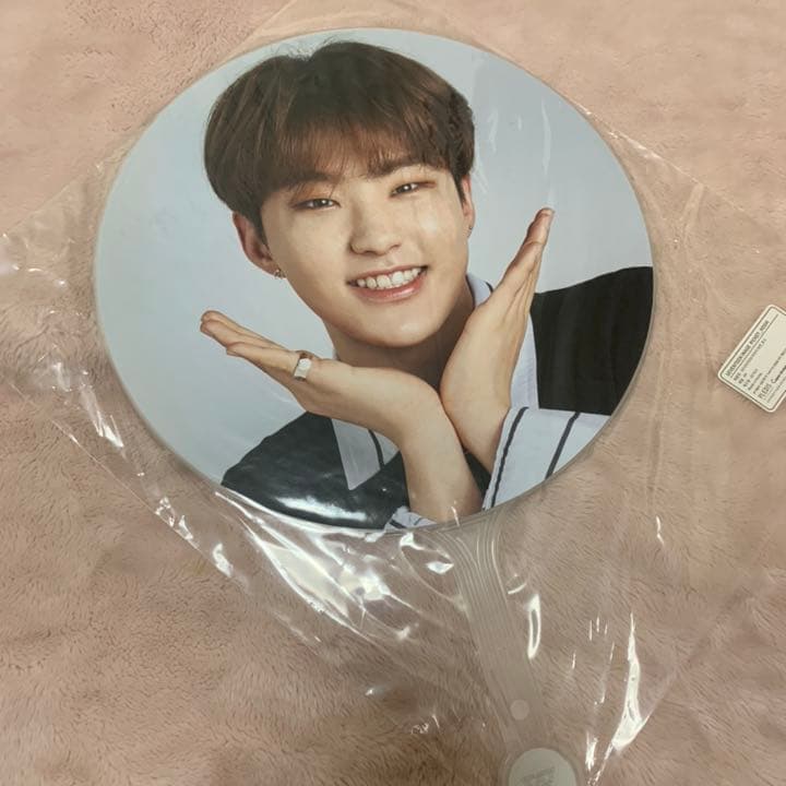 SEVENTEEN セブチ　ホシ　うちわ10枚セット