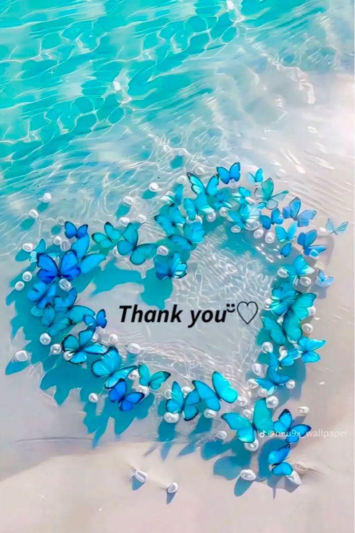 ❤️ シロツメクサさま❤️