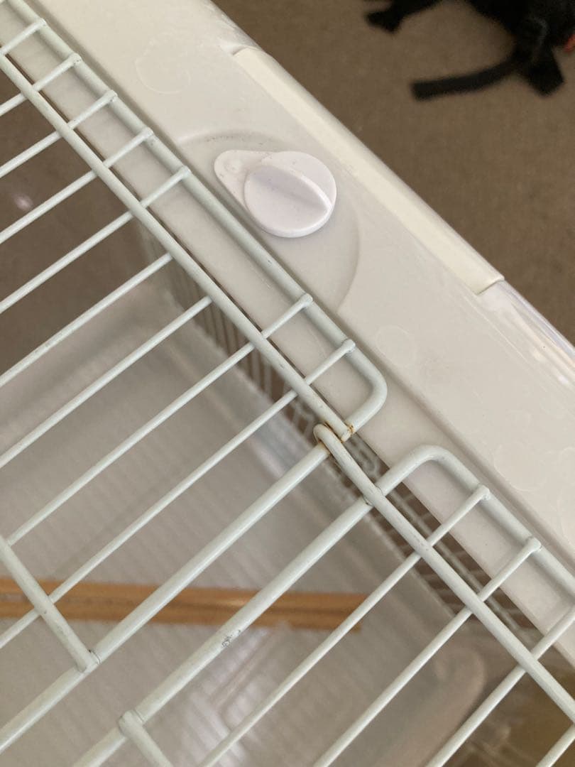 sanko クリアバード40 箱付き