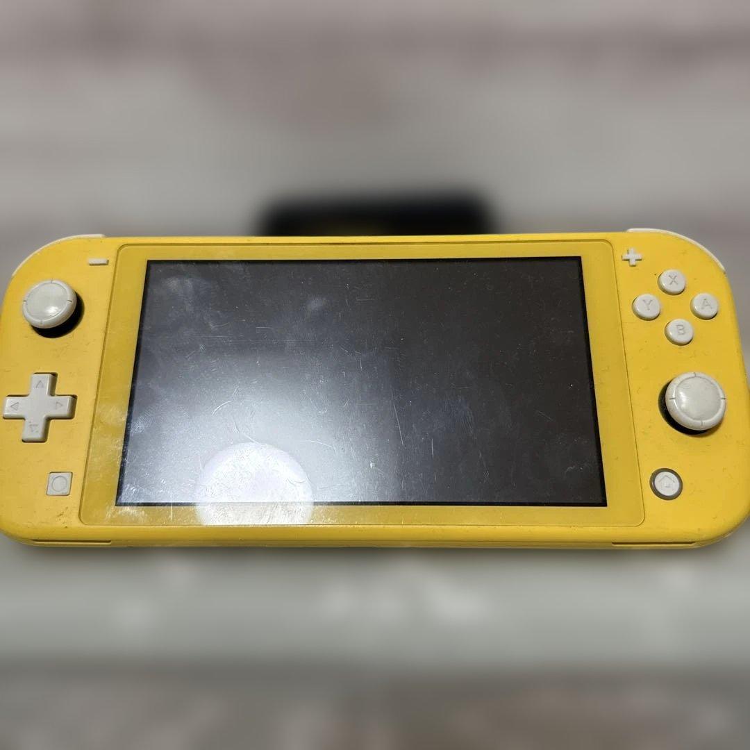 Switchライト ジャンク品