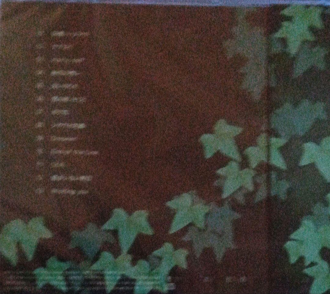 邦楽 ivy tone Duca