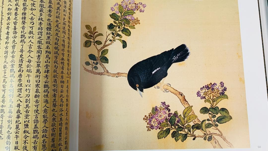 1997年初版「The Manual of Birds（故宮鳥譜）」