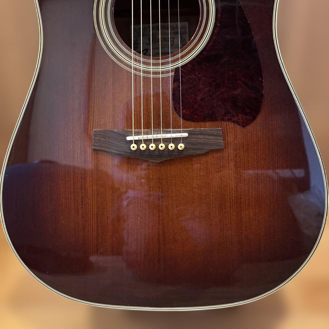 Ibanez エレアコ ソフトケース付 新品弦張替済