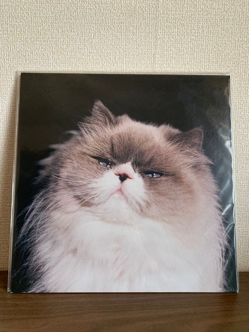 カネコアヤノ レコード 燦々