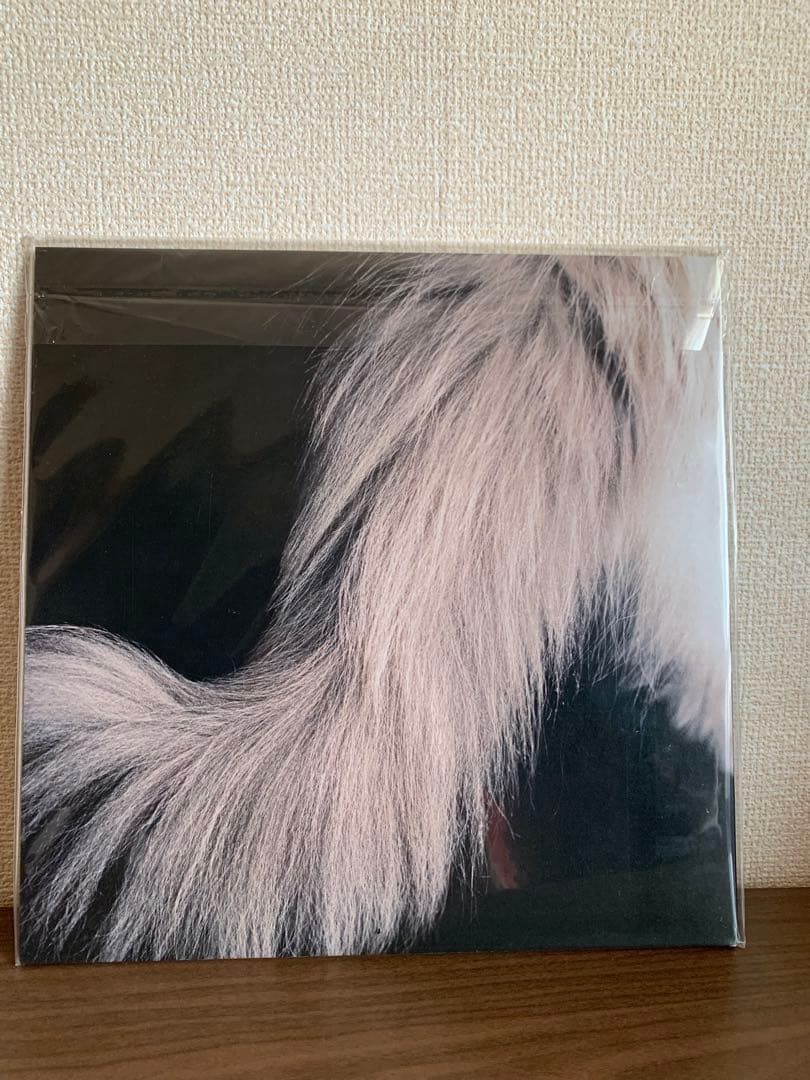 カネコアヤノ レコード 燦々