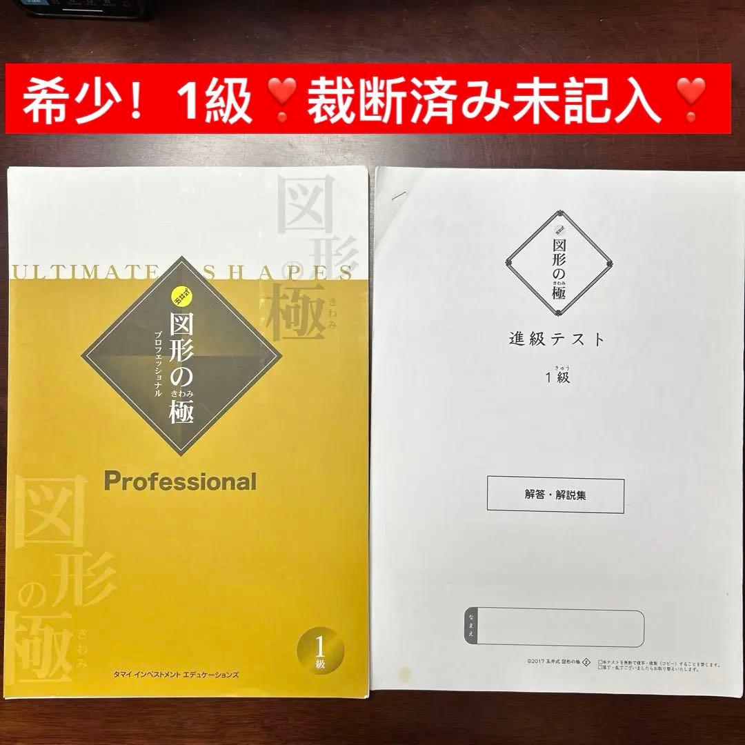 希少未記入❣️ 図形の極み　図形のきわみ　プロフェッショナル　1級　裁断済み