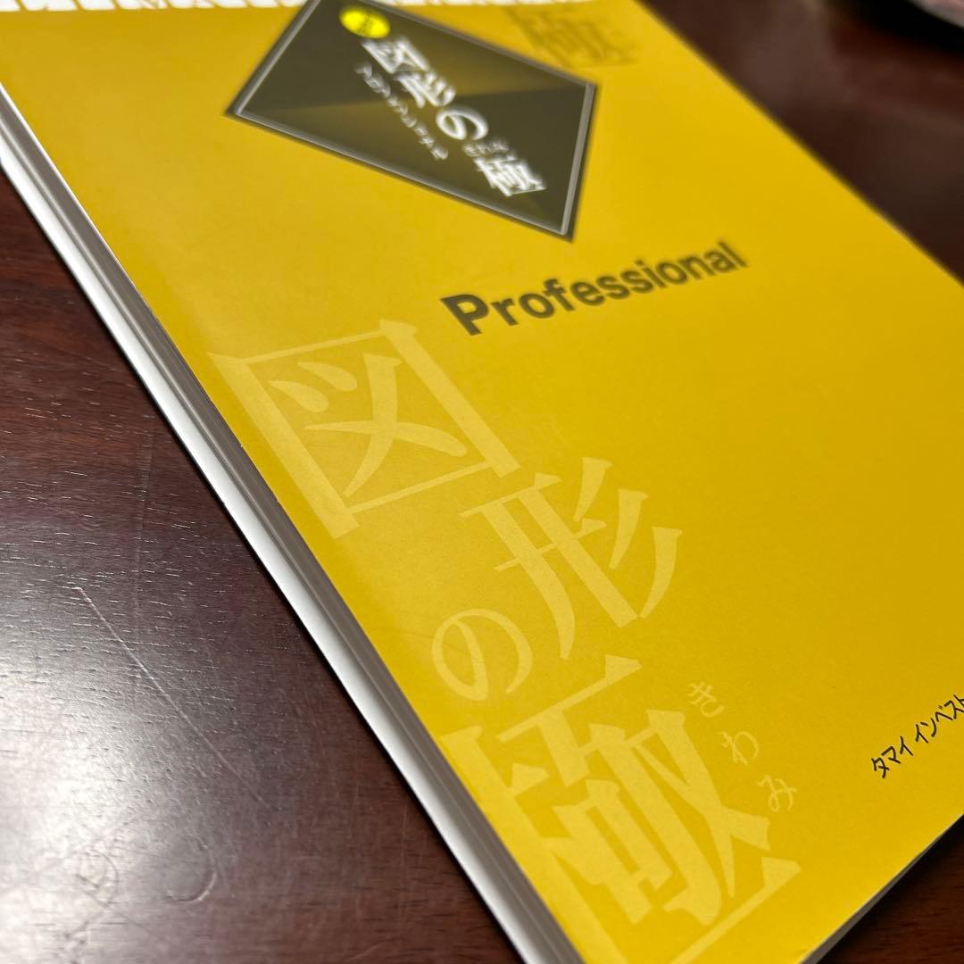 希少未記入❣️ 図形の極み　図形のきわみ　プロフェッショナル　1級　裁断済み