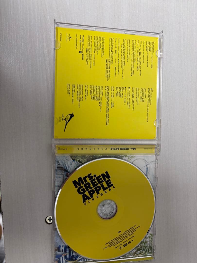 Mrs. GREEN APPLE 初回限定盤 どこ日