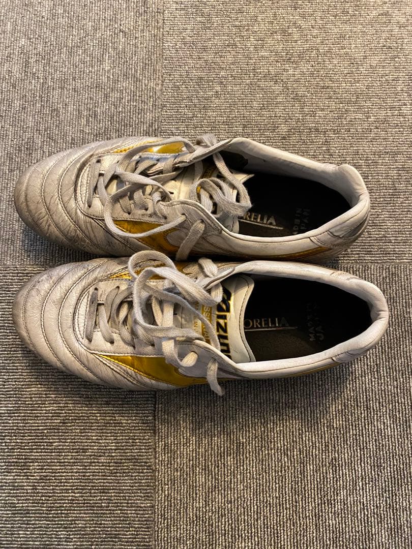 モレリア2Japan 【7.29日まで値下げ交渉頑張ります】