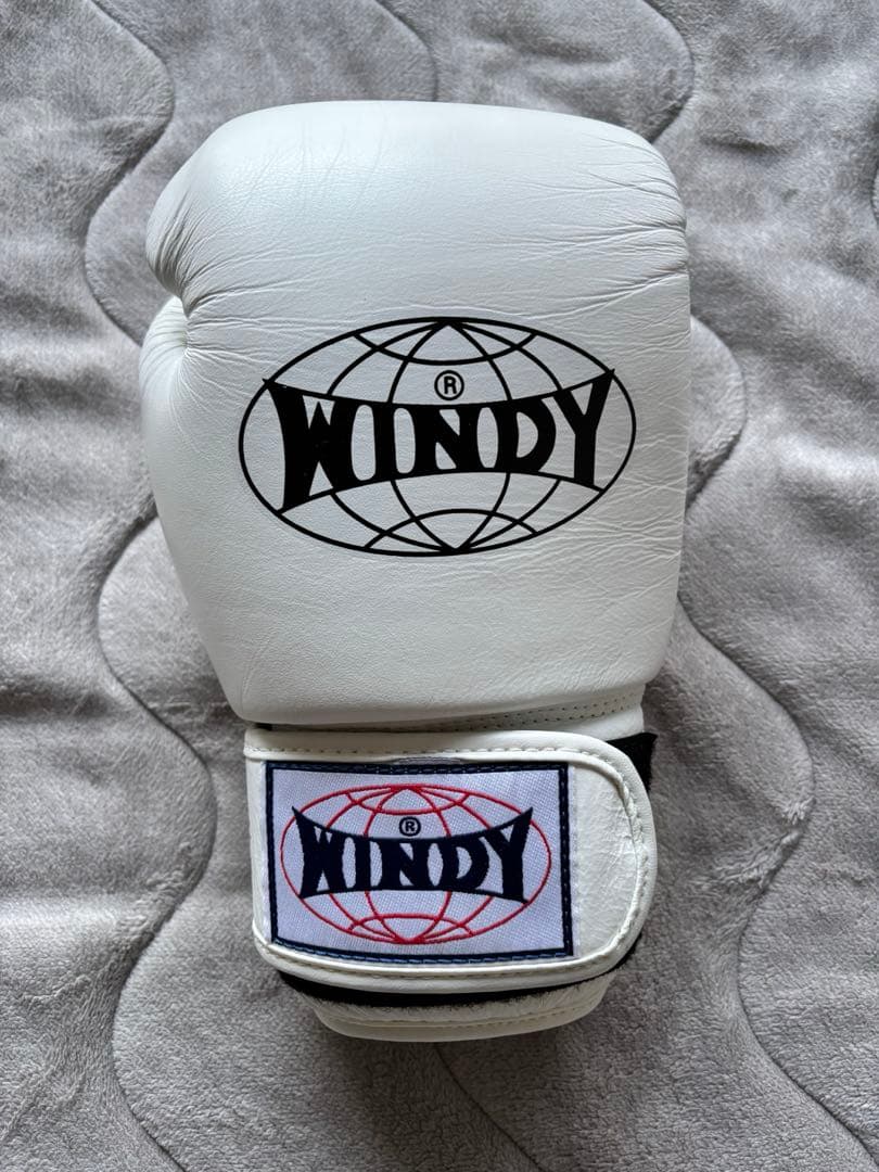 WINDY ボクシング　キックボクシング　グローブ　10オンス