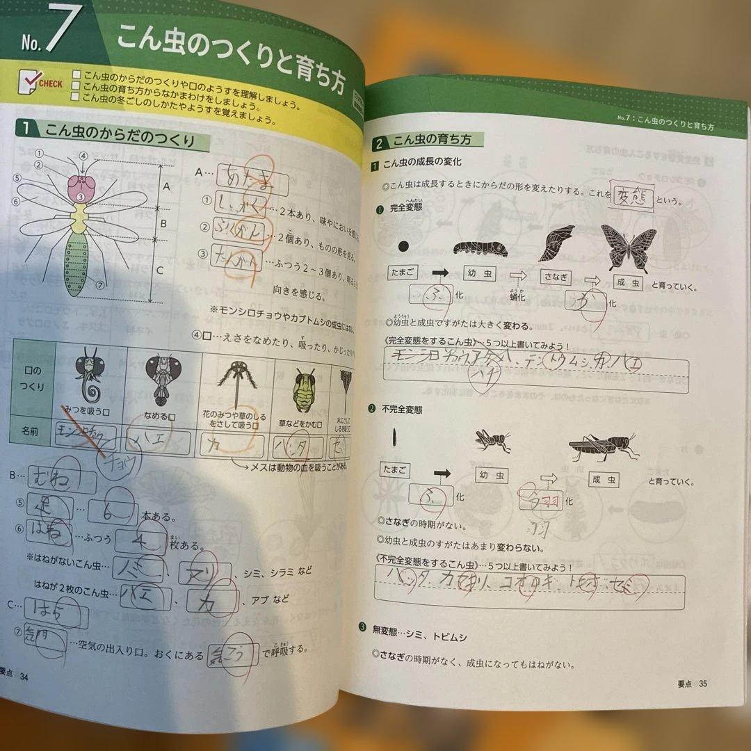 浜学園　サイエンス 5年生　理科　要点のまとめ　問題編　解答編　2024