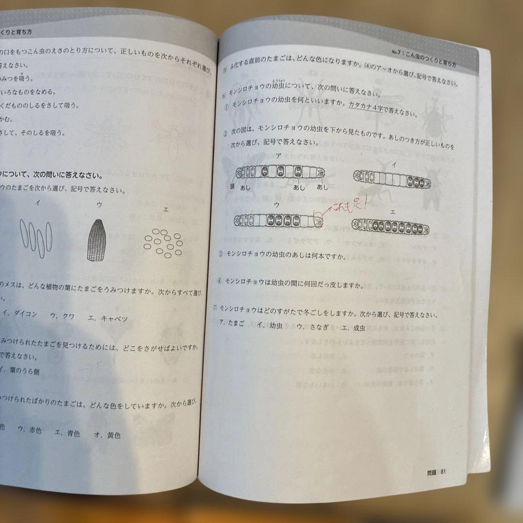 浜学園　サイエンス 5年生　理科　要点のまとめ　問題編　解答編　2024