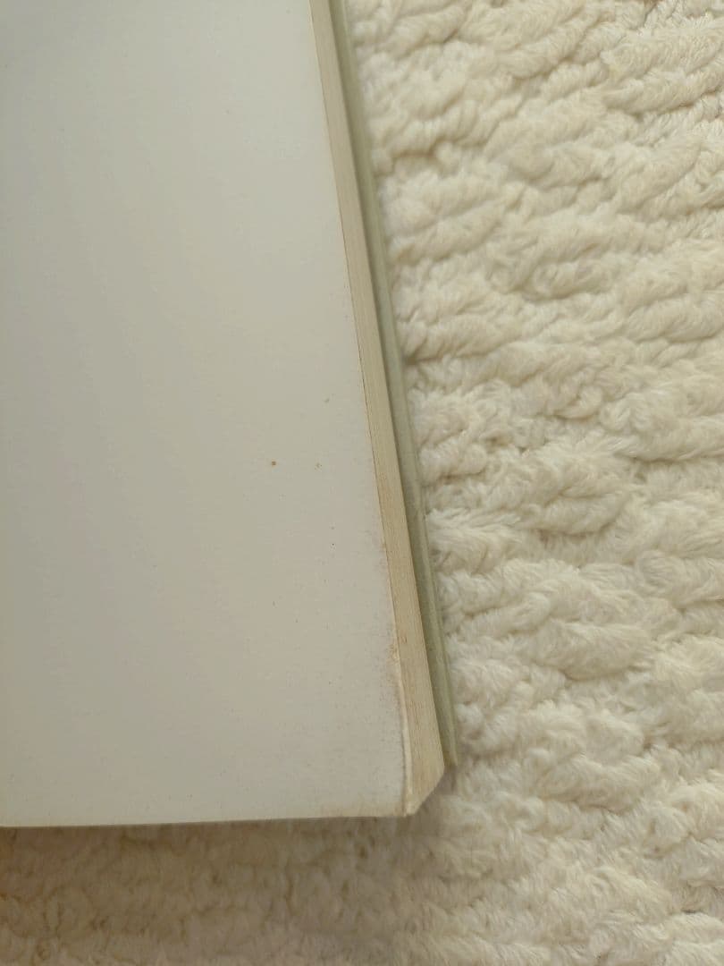 レイモンド・ペティボン Raymond Pettibon 英語版 ソフトカバー