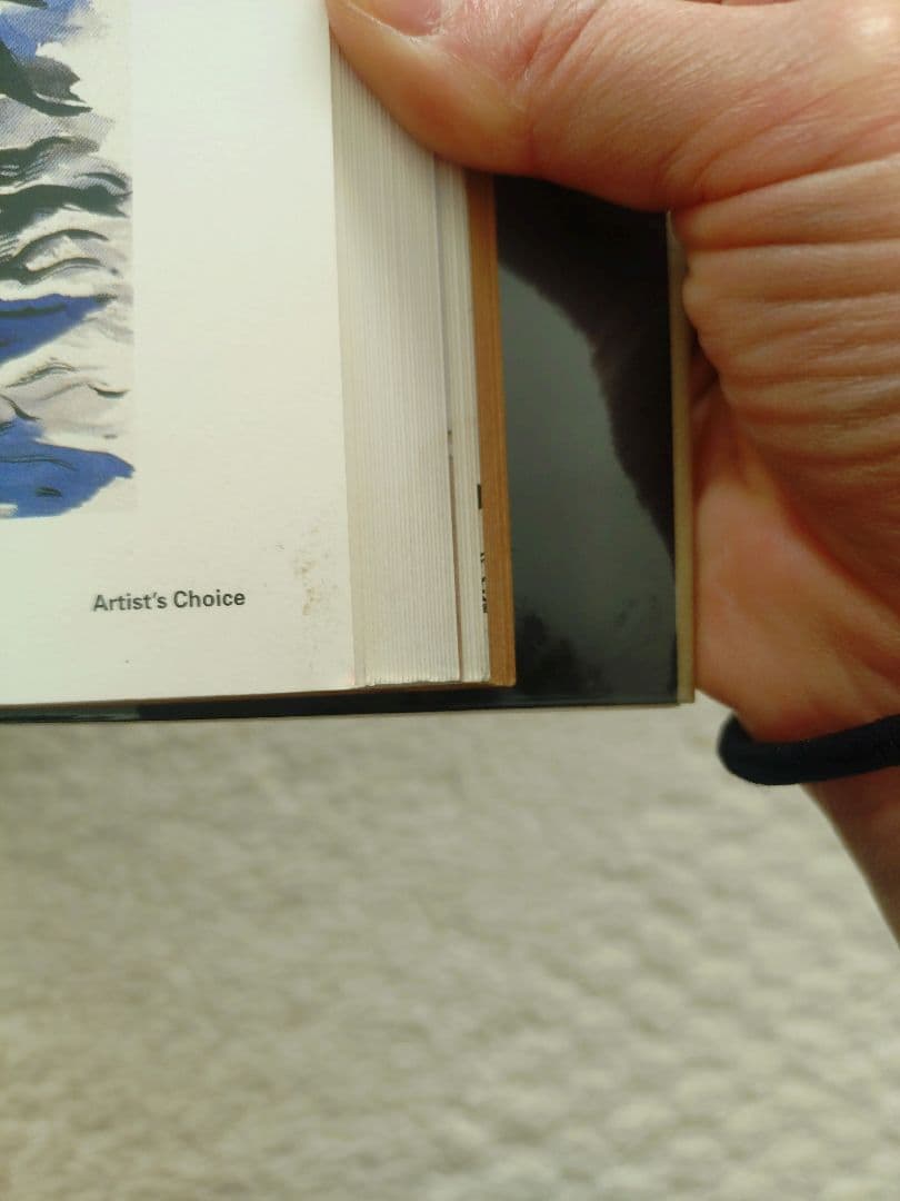 レイモンド・ペティボン Raymond Pettibon 英語版 ソフトカバー