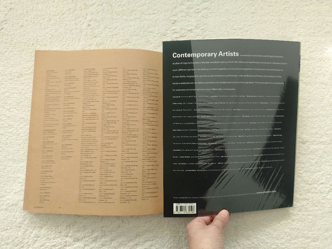 レイモンド・ペティボン Raymond Pettibon 英語版 ソフトカバー