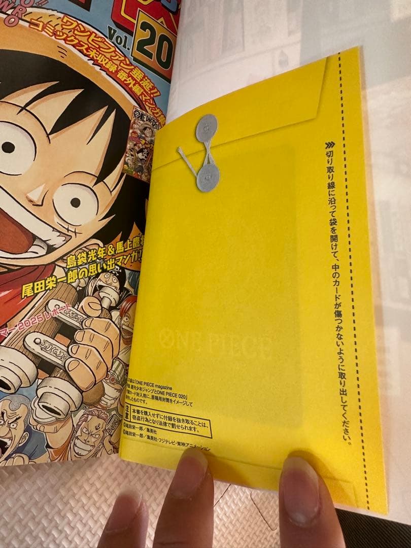 ONE PIECE magazine ワンピースマガジン 20 プロモ付き