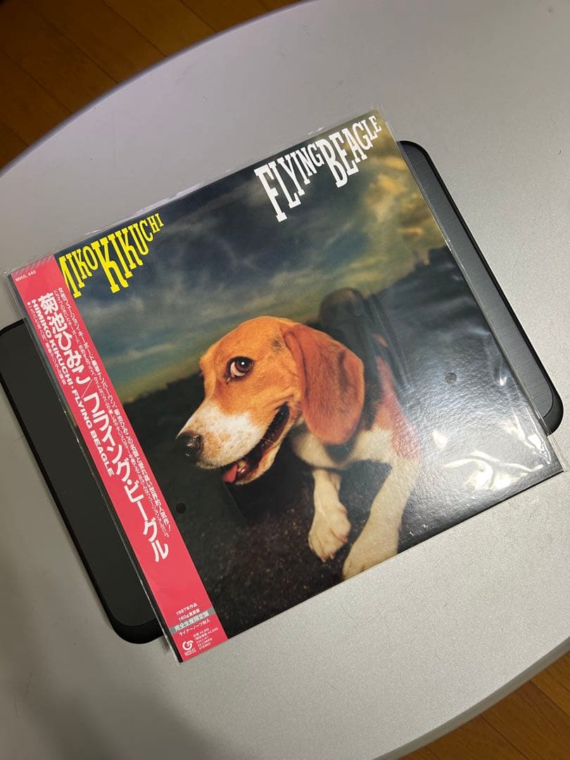 菊池ひみこ　LPレコード FLYING BEAGLE 完全生産限定盤