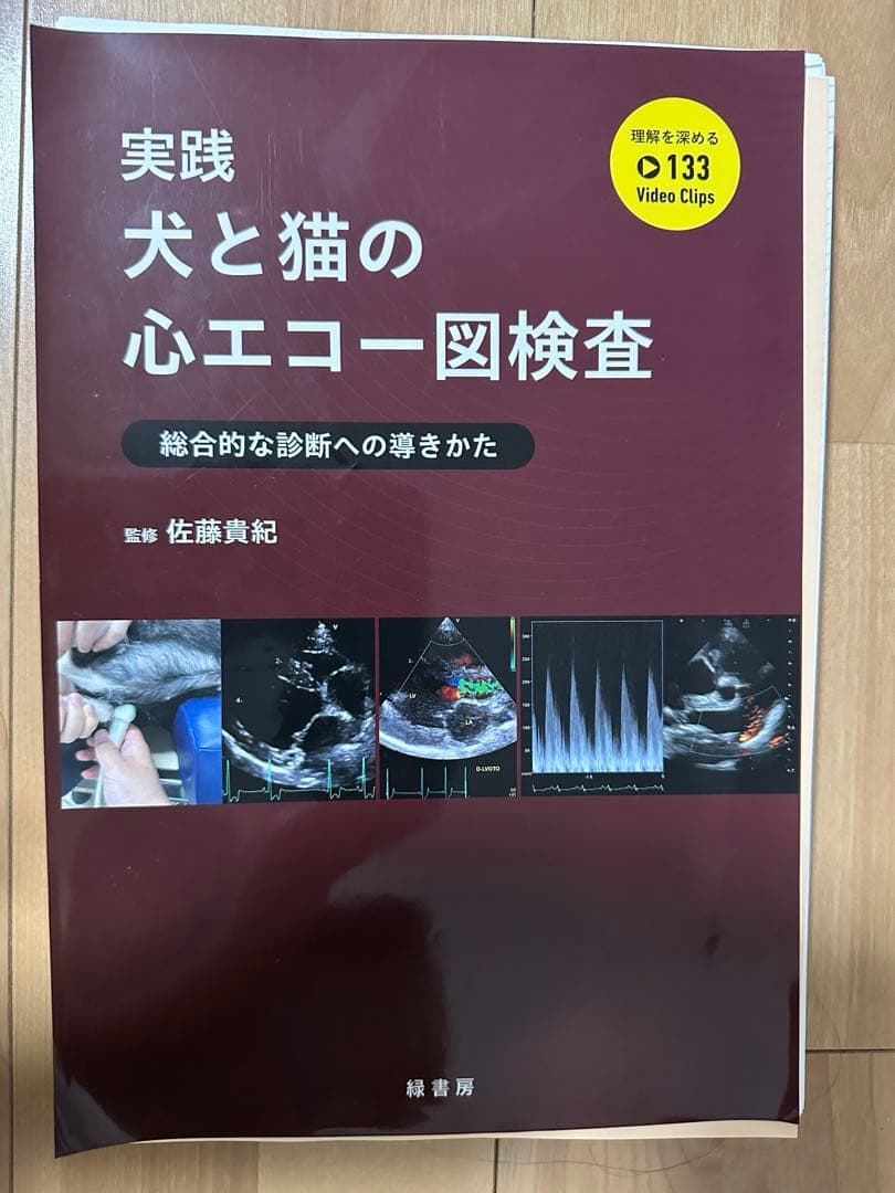 実践　犬と猫の心エコー図検査