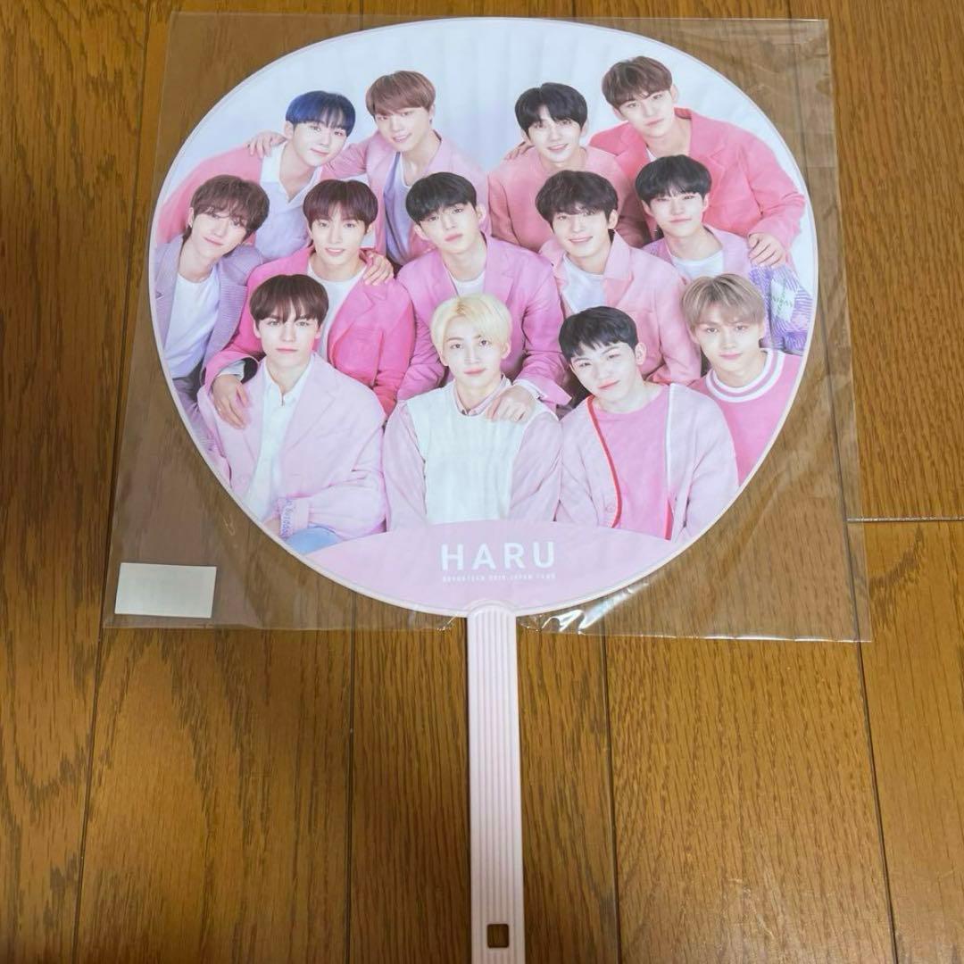 即購入⭕️ SEVENTEEN 集合 うちわ 4点セット