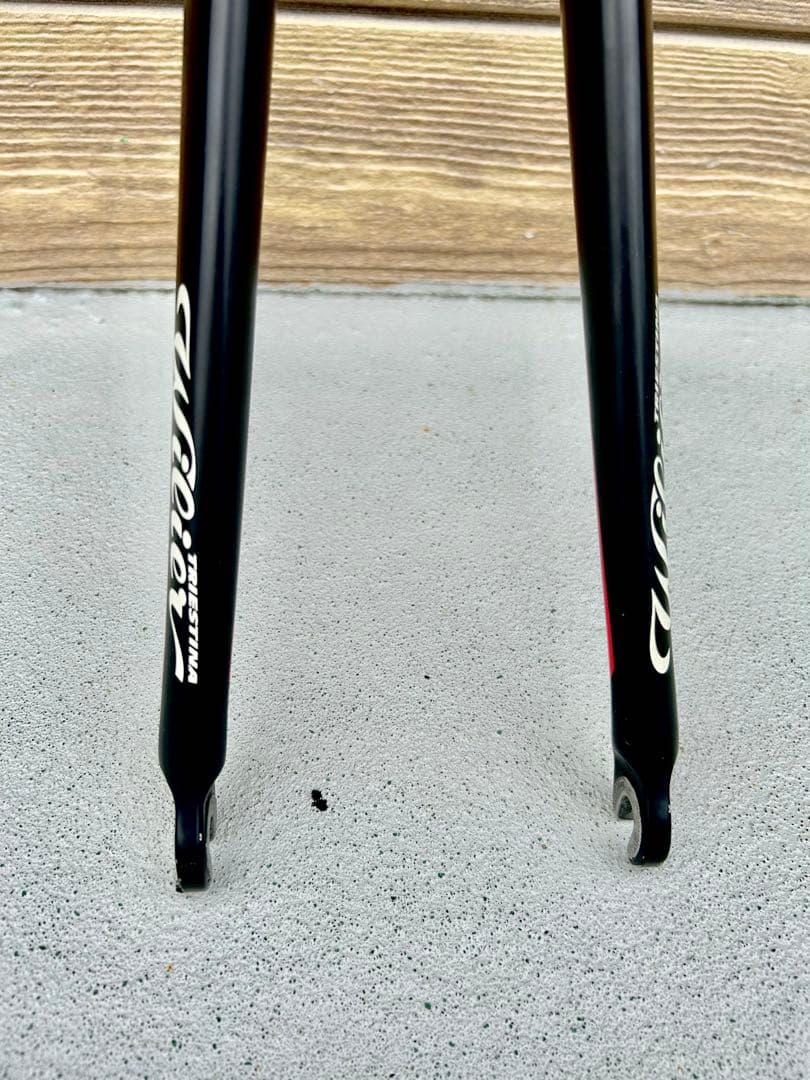 【WilierカーボンCarbonフロントフォーク】RITCHEYヘッドパーツ付