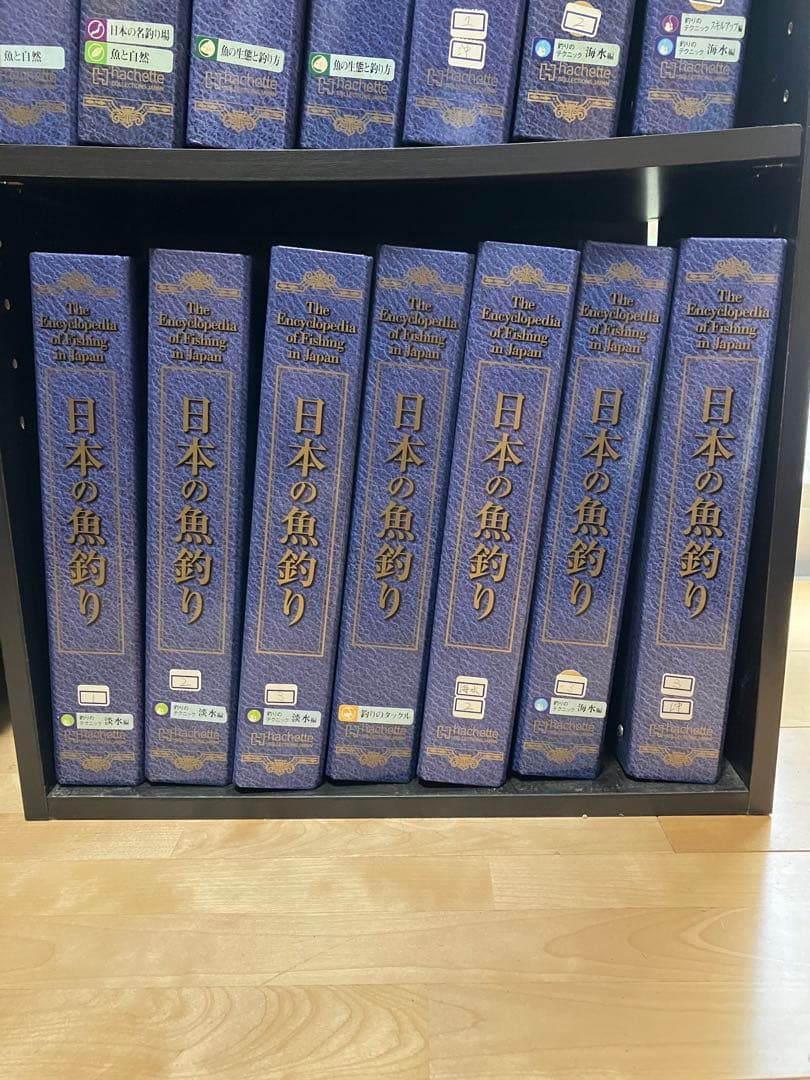 ①/2週刊　日本の魚釣り　まとめ売り　大量　アシェット