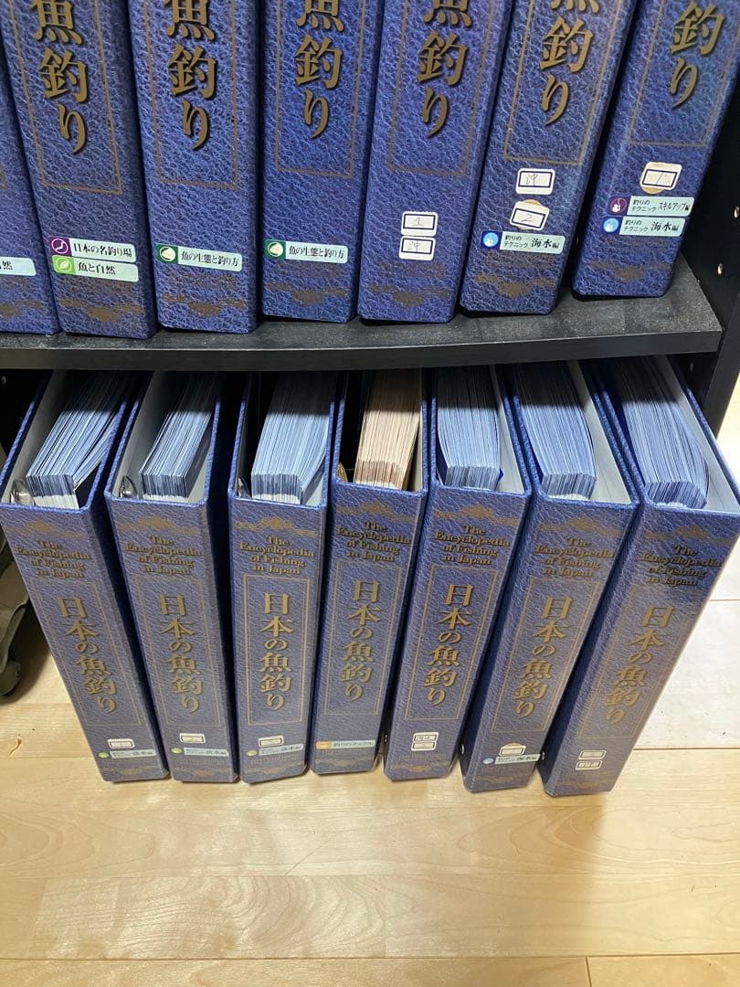 ①/2週刊　日本の魚釣り　まとめ売り　大量　アシェット