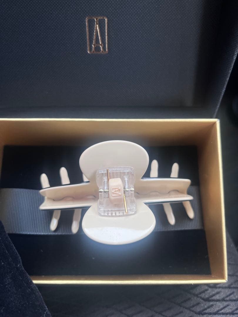 新品　ALEXANDRE DE PARIS ☆LISERAI Mクリップ