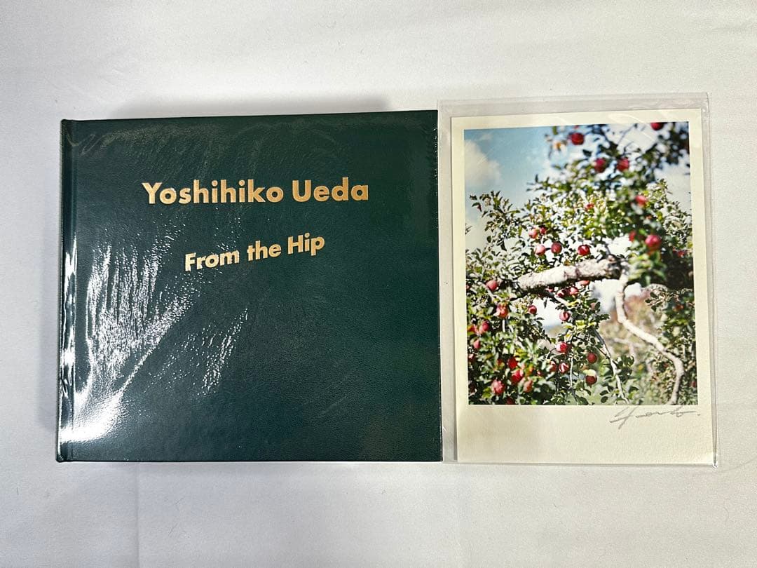 上田義彦 写真集 From the Hip