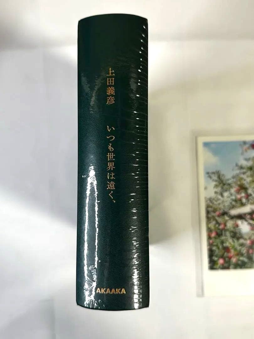 上田義彦 写真集 From the Hip