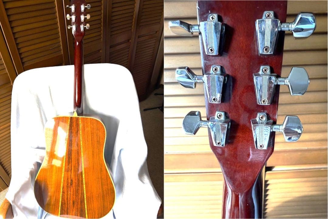 MOLALES アコギ　ライムグリーン 【思い切って8,500円で譲ります】