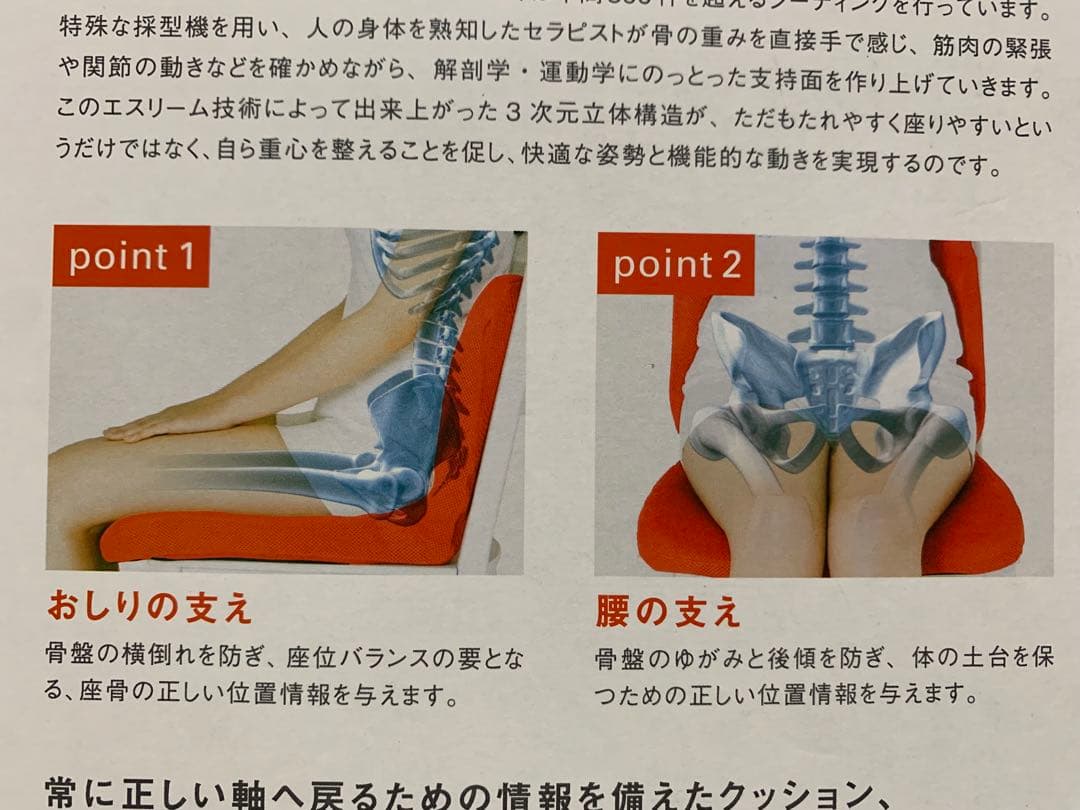 美品　p!nto pinto 姿勢矯正クッション ブラウン