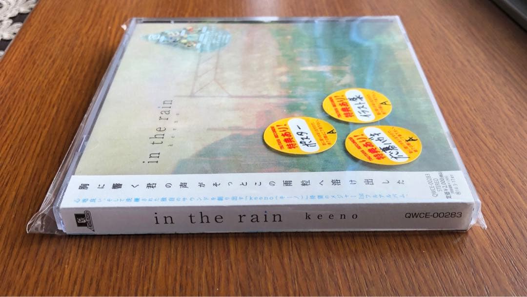 【美品】in the rain