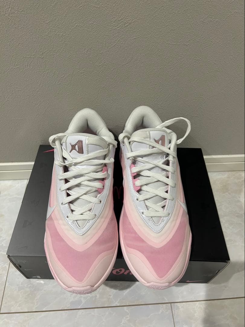 NIKEエイジャ ウィルソンバスケットボールシューズ