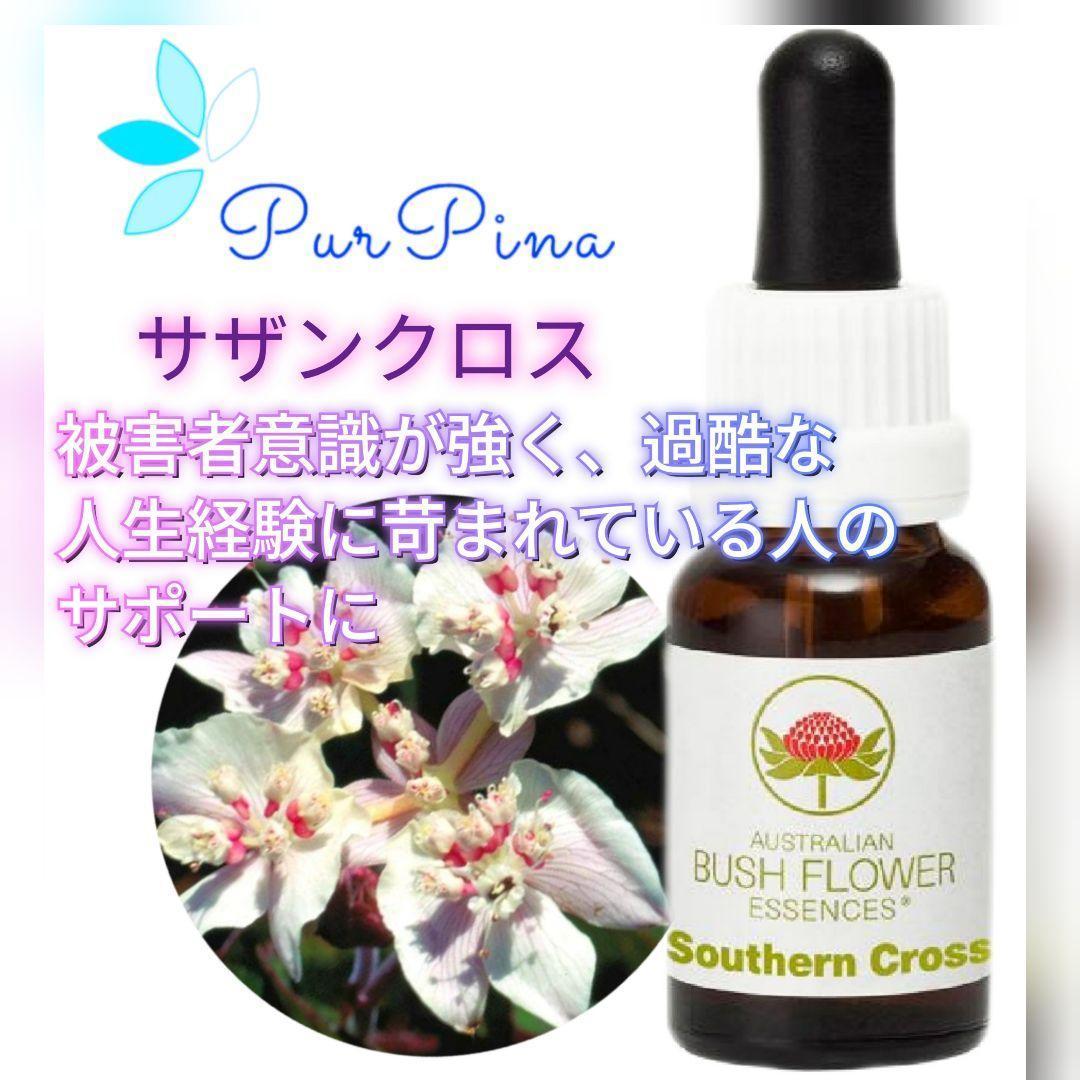 【専用】マウンテンデビル オーストラリアンブッシュ　フラワーエッセンス