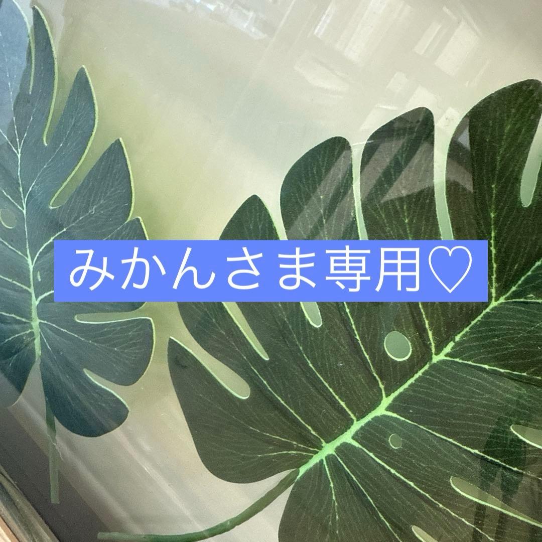 みかんさま専用ページ♡