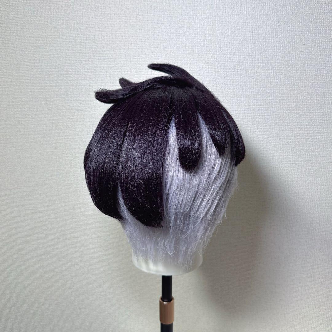 ポケモンZA カラスバ　コスプレ　ウィッグ　完成品　カットセット済み